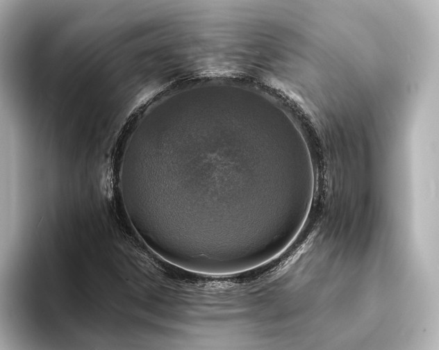 X0000094341306200711021443