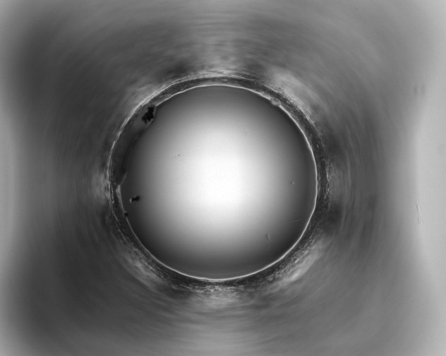 X0000094341308200711021443