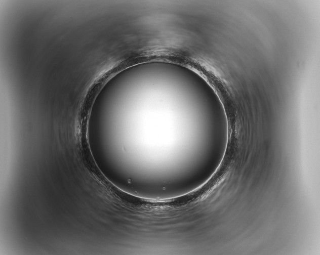 X0000094341309200711021443