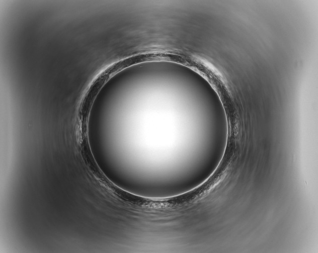 X0000094341310200711021443