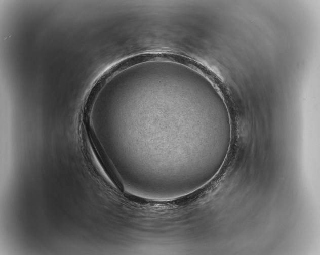 X0000094341311200711021443