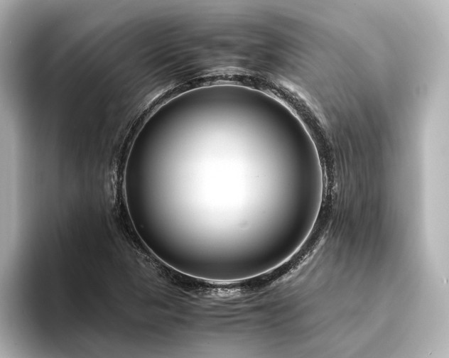 X0000094341313200711021443