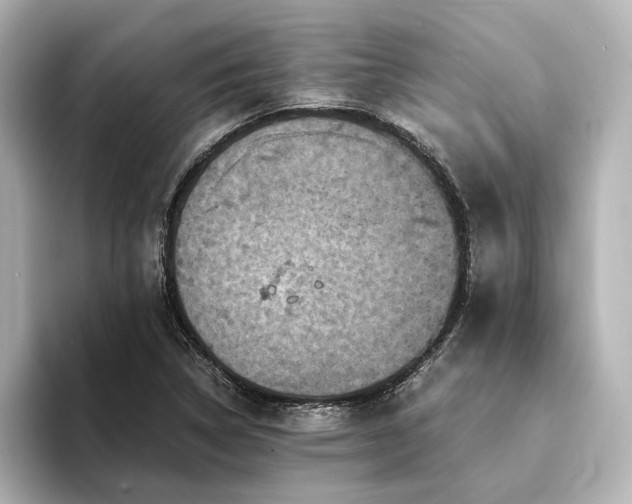 X0000094341314200711021443