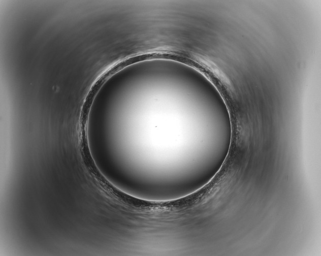 X0000094341316200711021444