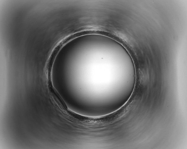 X0000094341318200711021444