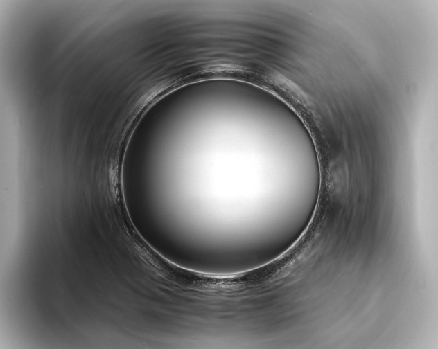 X0000094341321200711021444