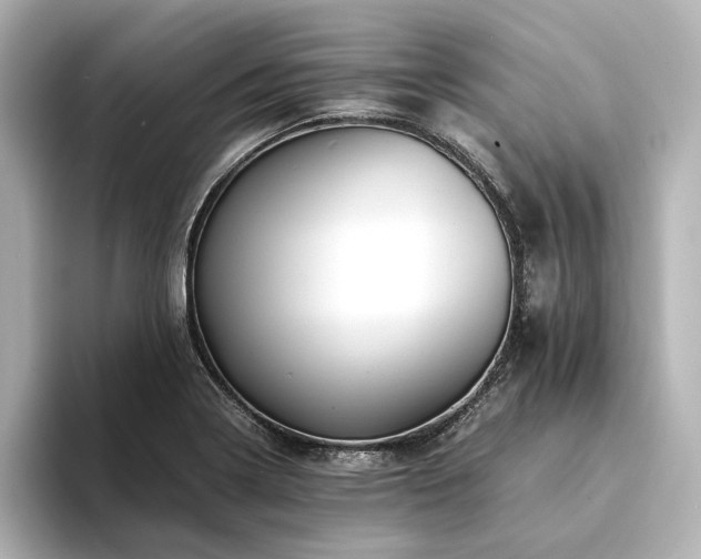 X0000094341322200711021444