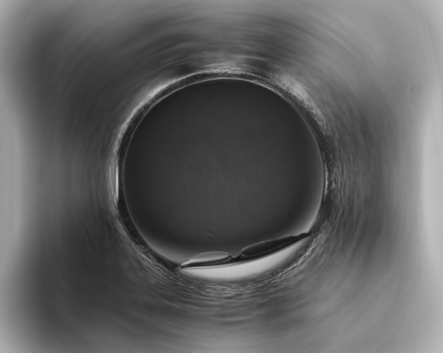 X0000094341323200711021444