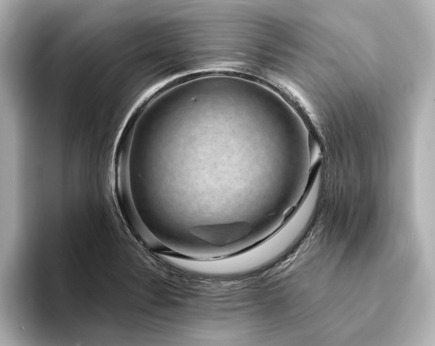 X0000094341324200711021444