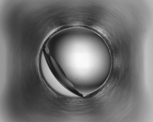 X0000094341325200711021444