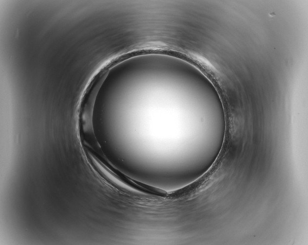 X0000094341326200711021444