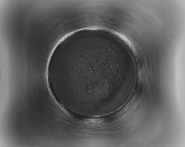 X0000094341327200711021444