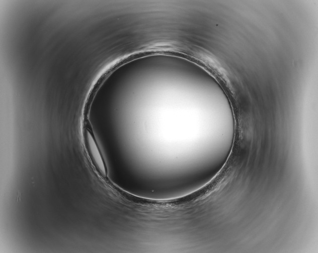 X0000094341328200711021444