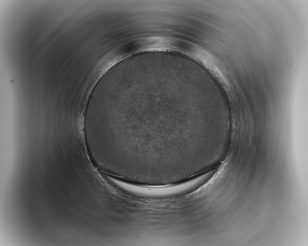 X0000094341329200711021444