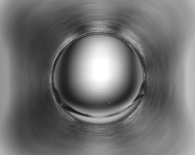X0000094341330200711021444
