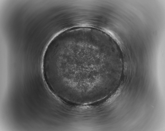 X0000094341331200711021444