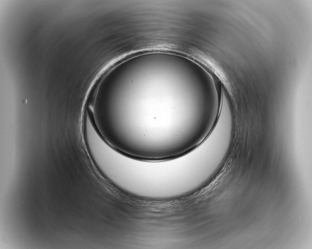 X0000094341332200711021444