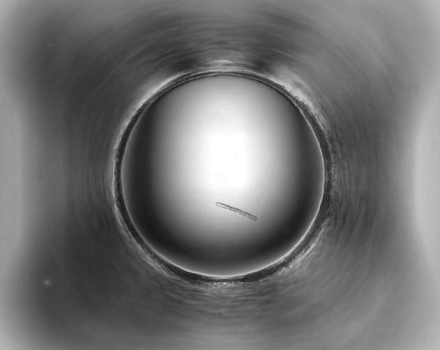 X0000094341333200711021444