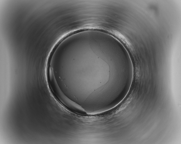 X0000094341334200711021444