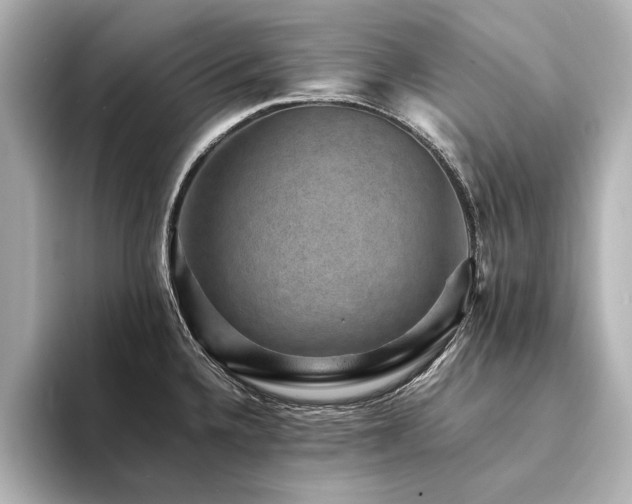 X0000094341336200711021444