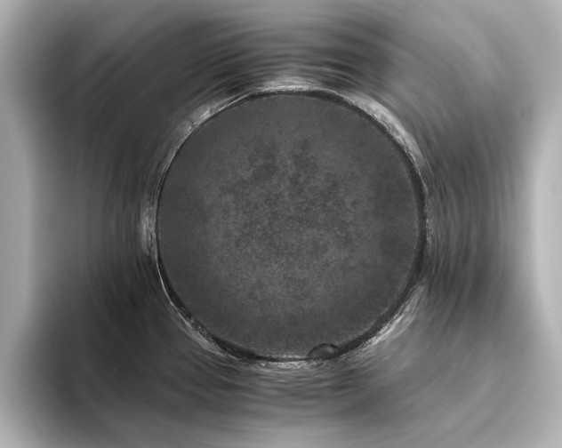 X0000094341337200711021444