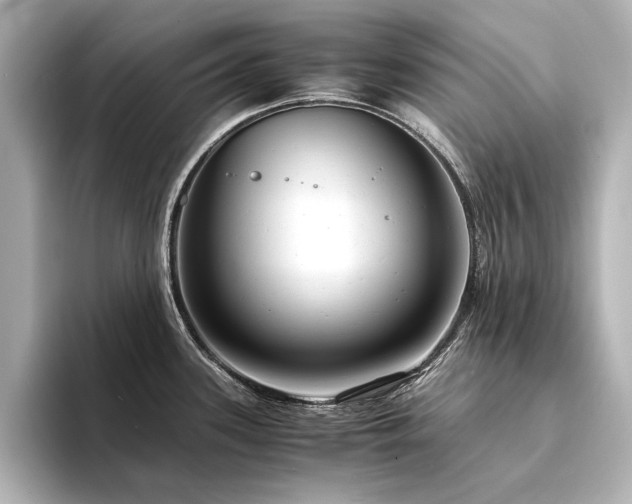 X0000094341339200711021444
