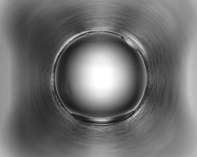 X0000094341340200711021444