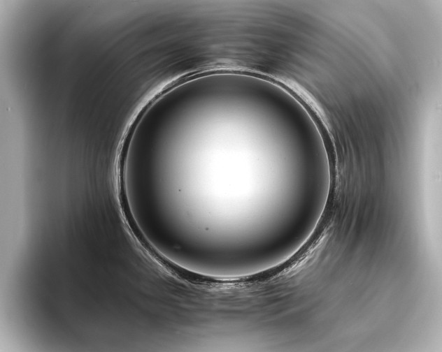 X0000094341341200711021444
