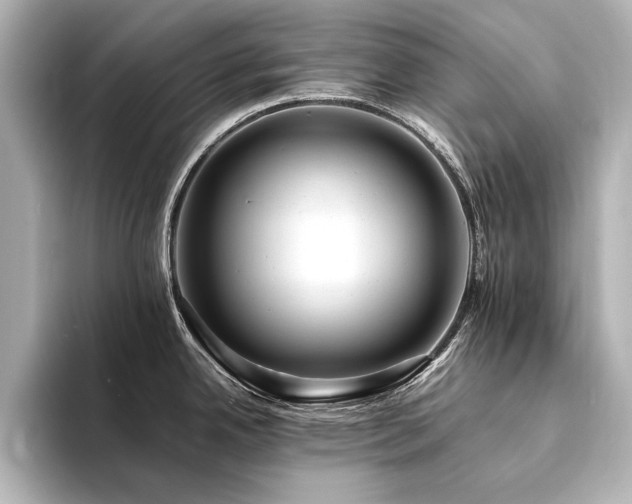 X0000094341342200711021444