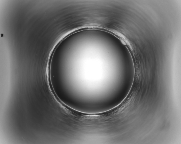 X0000094341343200711021444