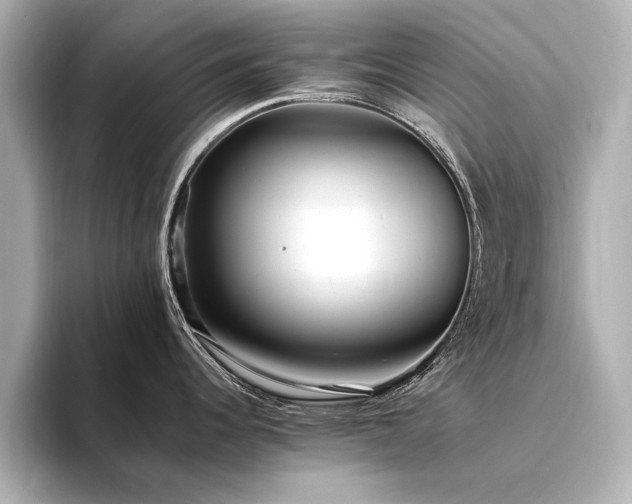 X0000094341344200711021444