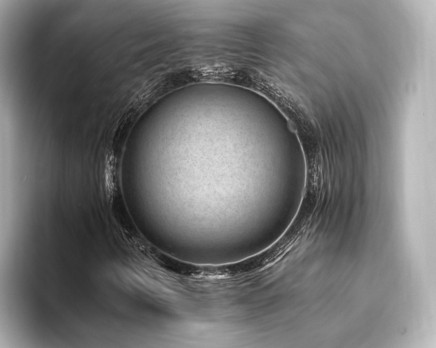 X0000094341346200711021443