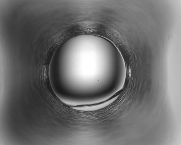 X0000094341347200711021443