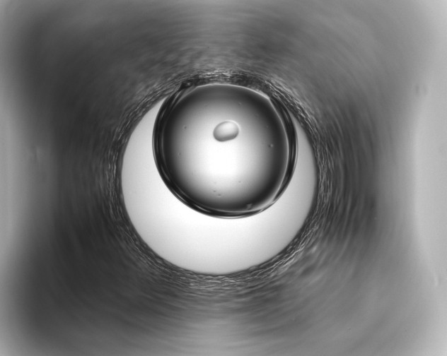 X0000094341348200711021443