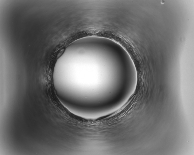X0000094341349200711021443