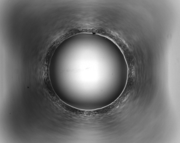 X0000094341350200711021443