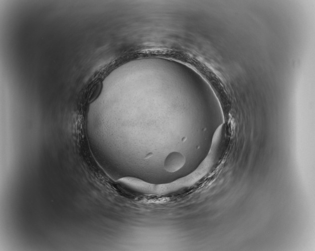 X0000094341351200711021443