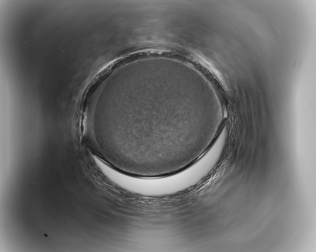 X0000094341352200711021443