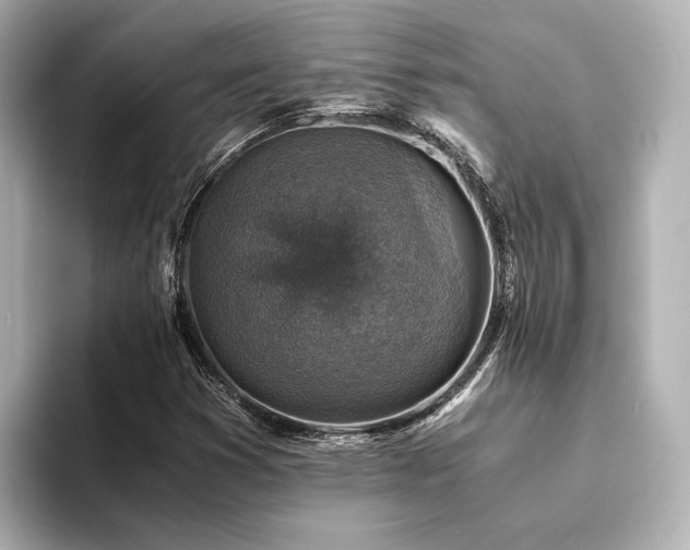 X0000094341353200711021443