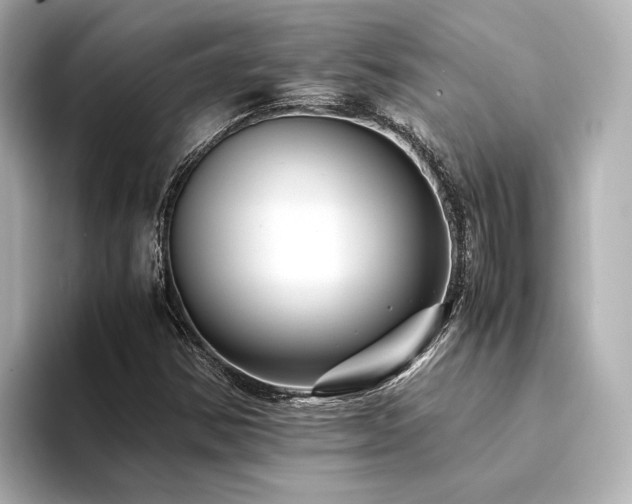 X0000094341354200711021443