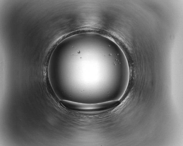 X0000094341355200711021443