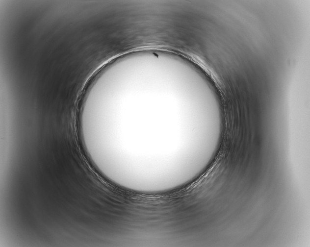 X0000094341356200711021443