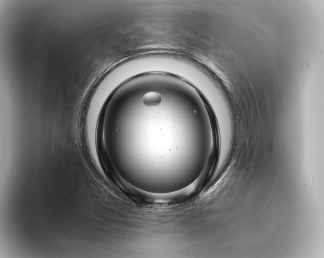 X0000094341357200711021443