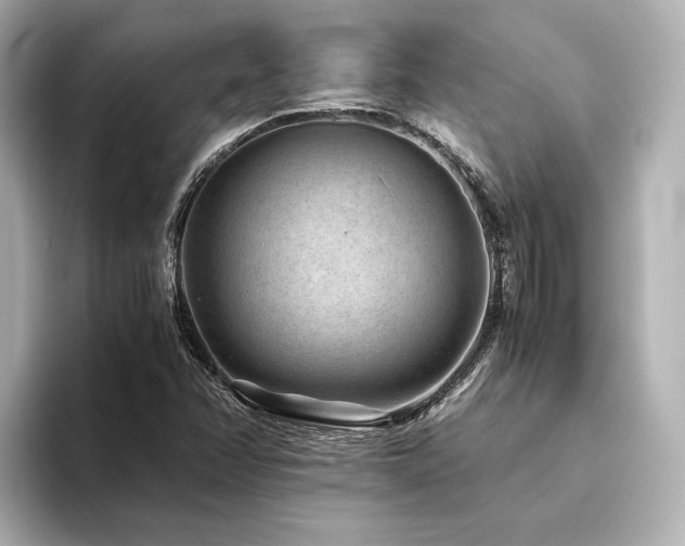 X0000094341358200711021443