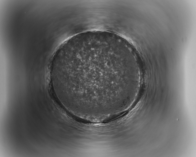 X0000094341359200711021443