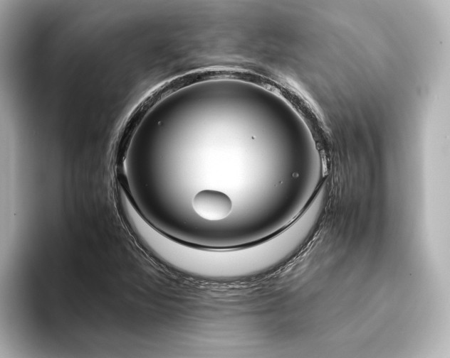 X0000094341360200711021443