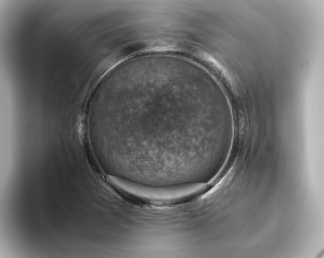 X0000094341361200711021443
