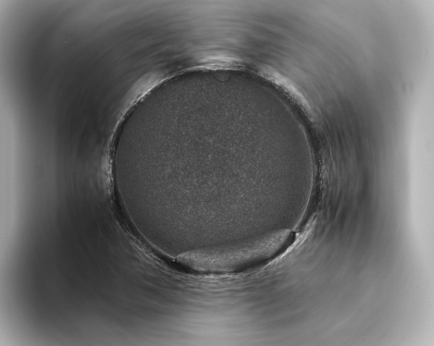 X0000094341362200711021443