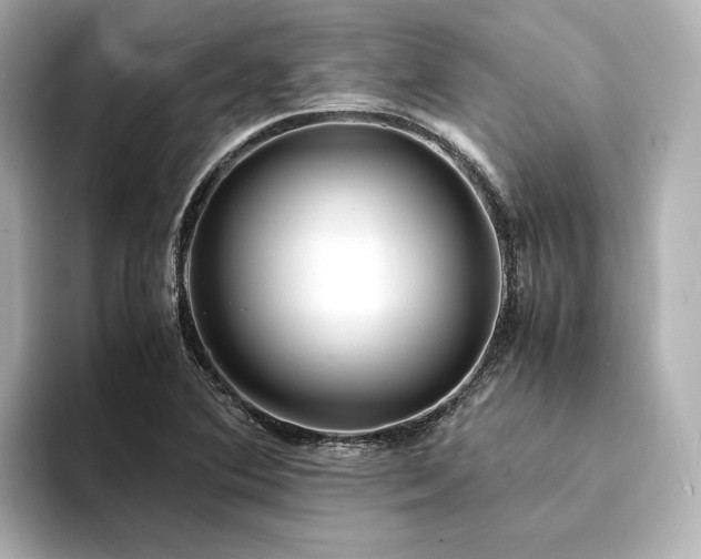 X0000094341364200711021443