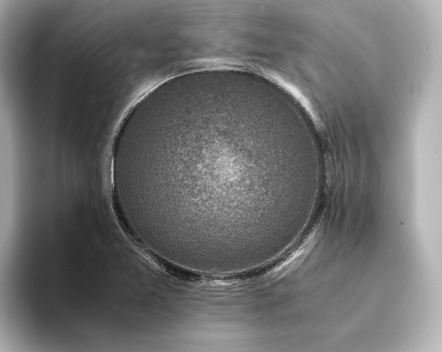 X0000094341365200711021443